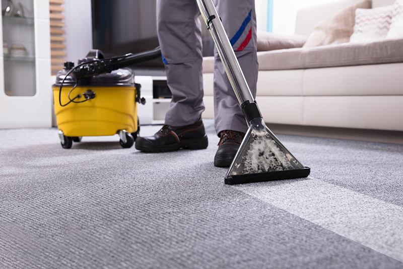 Step by Step on How to Clean a Jute Rug